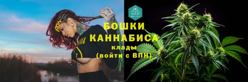 купить закладку  Дмитриев  Каннабис LSD WEED 